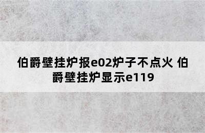 伯爵壁挂炉报e02炉子不点火 伯爵壁挂炉显示e119